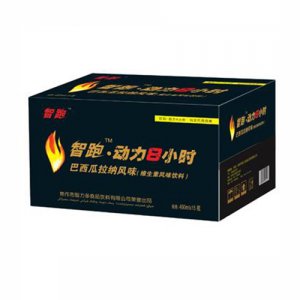 黑客智跑动力8小时-箱维生素功能饮料460ml×15瓶