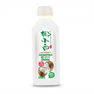 伊之伴椰汁饮料
