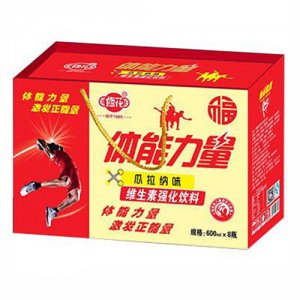 体能能量600mlx8瓶