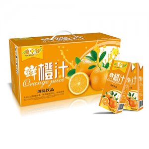 地中餐鲜橙汁风味饮品250ml
