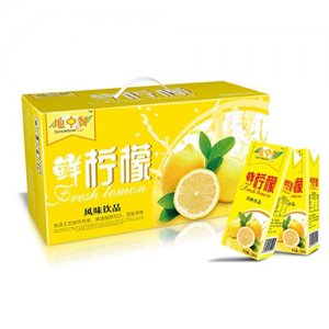 地中餐鲜柠檬风味饮品250ml