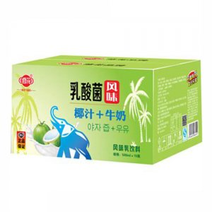 修花乳酸菌风味椰汁牛奶500ml×15瓶（大象）