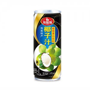 伊之伴椰子汁饮料245ml