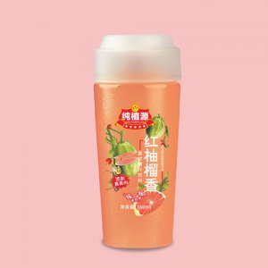 伊之伴红柚果汁饮料