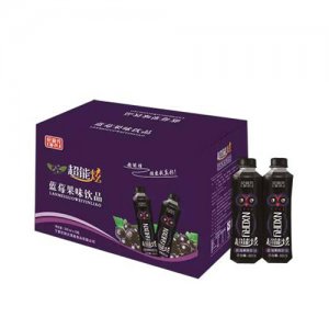 杞润元超能炫蓝莓果味饮料500mlx15瓶