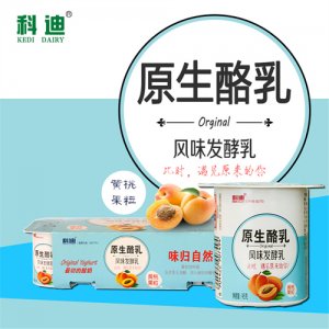 科迪八连杯原生酪乳