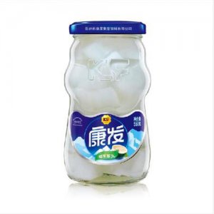 KF瓶椰果罐头550克
