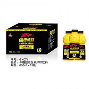 甄典体悟能量600mlX15瓶