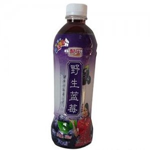酷田野生蓝莓500ml