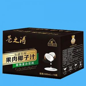 苍之涛果肉椰子汁500mlx15瓶