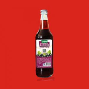 安江凌饮品黑加仑500ml