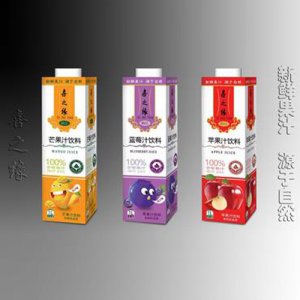百果坊果汁饮料1L