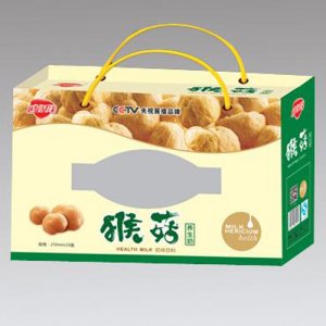 金娇阳猴菇养生奶苗条砖250ml×10盒