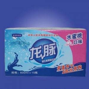 乐品坊龙脉维生素果味饮料（水蜜桃）600mlx15瓶