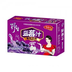 奇福记饮品蓝莓汁箱装