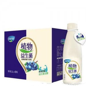 佰邑源植物益生菌发酵蓝莓汁饮料1Lx8瓶