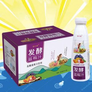 春尚好发酵蓝莓汁500mlx15瓶