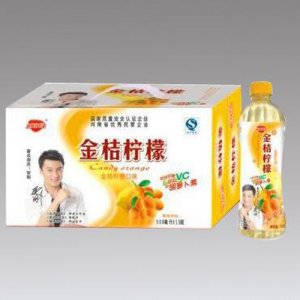 金娇阳金桔柠檬500ml×15瓶
