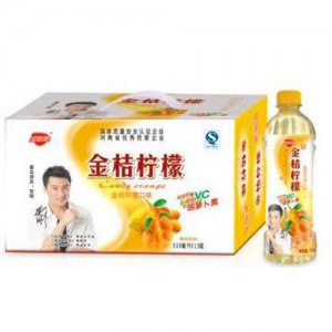 金娇阳金桔柠檬500ml×15瓶箱装