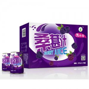 思乐登乳桑葚汁纸箱饮品245ml×24罐