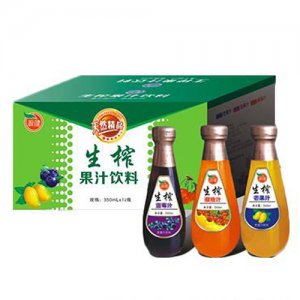 源健生炸果汁饮料350ml×12瓶
