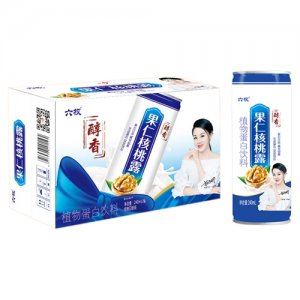 六枚果仁核桃露植物蛋白饮料简箱装