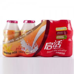 启活乳酸菌饮品