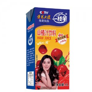 一支笔山楂汁