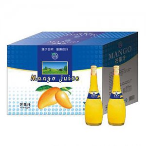 源健芒果汁饮料1L×8