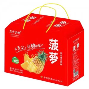 三分天地菠萝复合果汁饮料礼盒