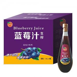源健生炸蓝莓汁饮料1.5L×6