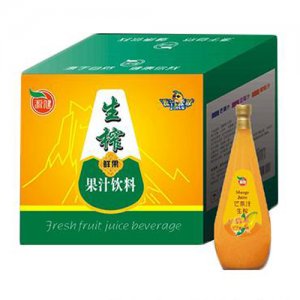 源健生炸鲜果果汁饮料1.5L×6