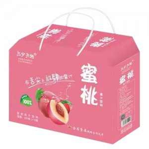 三分天地蜜桃果汁饮料礼盒