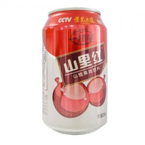 一支笔山里红 山楂果肉饮料