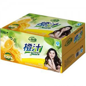 一枝笔橙汁1L×12盒