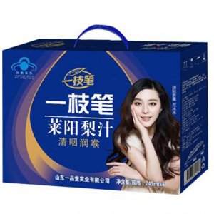 一枝笔莱阳梨汁248ml×8罐