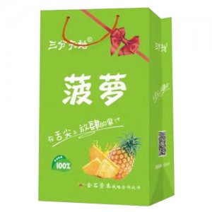三分天地菠萝果汁饮品礼盒