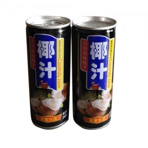 达亿元椰汁饮料植物蛋白饮料240ml