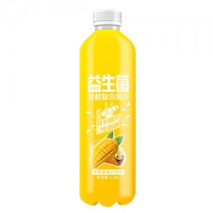 椰鲜世家益生菌发酵复合果汁芒果味1.25L