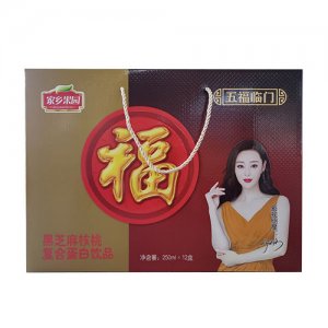 家乡果园黑芝麻核桃复合蛋白饮品礼盒