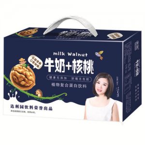 鼎顺牛奶核桃植物复合蛋白饮料板箱装
