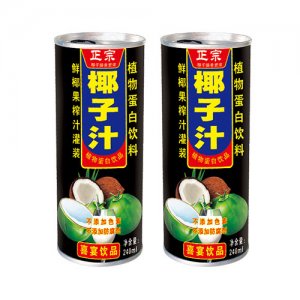 达亿元椰子汁椰汁饮料植物蛋白饮料240ml