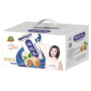 鼎顺核桃乳植物蛋白饮料