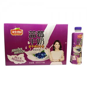 家乡果园蓝莓牛奶500mlx15瓶