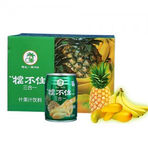 椰风什锦果汁饮料三合一250mlx24