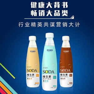 纤果知维生素苏打气泡水500ml
