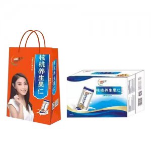 诚联天下核桃养生果仁奶240MLX20X16罐