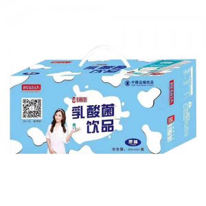 诚联天下乳酸菌24