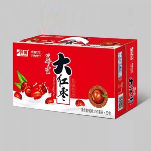 山东鸿博 大红枣牛奶250mlx20盒