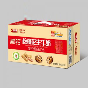 山东鸿博 核桃花生牛奶250mlx20盒